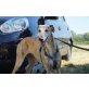 Debora, Galgo Español - Hündin
