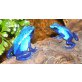 Dendrobates Tinctorius