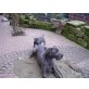 Deutsche Dogge Welpen - Hündin