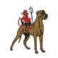 Deutsche Dogge Welpen - Hündin