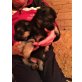 Deutscher Schäferhund Welpen - Hündin