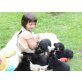 Deutscher Schäferhund Welpen - Rüde