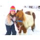 Diego, Shetland Pony - Wallach