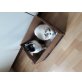 Diego und Stitch, Hauskatzen - Kater