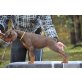 Dobermann Welpen - Hündin