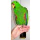 Dodo, Neuguinea-Edelpapageien - männlich
