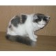 Dreifarbiges Türkisch Van Mädchen, Türkische Van Katze - Katze
