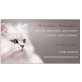 ESPRIT & ESCADO from Styrianland, Perser - Kater
