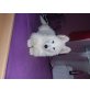 Elina, Weißer Schweizer Schäferhund - Hündin