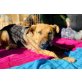 Ella, ich warte schon viel zu lange..., Schäferhund-Mischling - Hündin