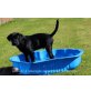 Elton, Labrador Retriever Welpen - Rüde