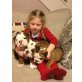 Englisch Bulldog Welpen, Englische Bulldogge - Rüde