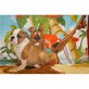 Englische Bulldogge Welpen - Rüde