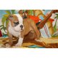 Englische Bulldogge Welpen - Rüde
