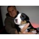 Entlebucher Sennenhund Welpen - Hündin