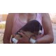 Entlebucher Sennenhund Welpen - Hündin