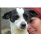 Epi, superlieber Familienhund - Rüde