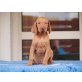 Era und Elly, Magyar Vizsla - Hündin