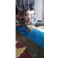 Erik, sucht ein Körbchen - Kater