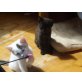 Ernsti, Hauskatzen - Kater