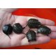 Europäische Sumpfschildkröte