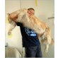 Falling Angels, Maine Coon - Kater