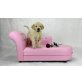 Fee & Wolke, Goldendoodle Welpen - Hündin