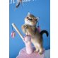 Filippa und Felizitas, Britisch Kurzhaarkatze - Katze