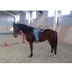 Filou! - Wallach