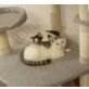 Finchen und Mickey - Katze
