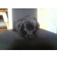 Flat Coated Retriever - Hündin