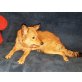 Foxi, unbekannt - Hündin