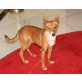 Foxy, Pinscher-Mix - Hündin