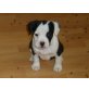 Fr.Bulldogge - Dackel Welpen - Hündin