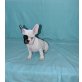 Französische Bulldogge - Rüde