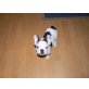 Französische Bulldogge Welpen - Hündin