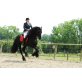 Friese - Stute