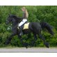 Friese - Stute
