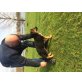 Funny/ Finja, Deutscher Schäferhund Welpen - Hündin