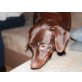 Funny, Labrador / Dackel - Hündin