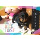 G - Vom Jungfrauen Stein, Rottweiler Welpen - Hündin