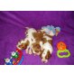 G wurf, Welsh Springer Spaniel Welpen - Hündin