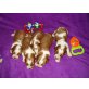 G wurf, Welsh Springer Spaniel Welpen - Rüde