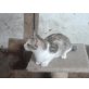 GLÜCKSKÄTZCHEN - Katze
