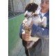 GWENYTH, Jagdhund Mix - Hündin