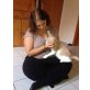 Gaston, Kater, 3 Jahre jung, lieb, ruhig, kastriert - Kater
