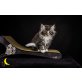 Gerko, Norwegische Waldkatze - Kater
