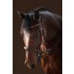 Geroge Clooney, QuarterHorse Mix - Wallach