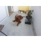Gipsy, Irish Setter - Hündin