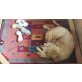 Golden Retriever Welpen Welpen - Rüde